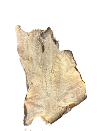 bacalhau_gadus_morhua_04-07-removebg-preview.png