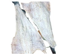 bac-cod.png
